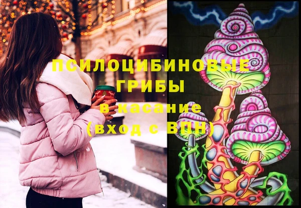 мдпв Алзамай