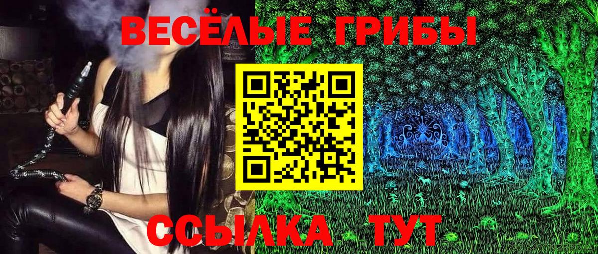 Боровичи  Псилоцибиновые грибы ЛСД  Вход с VPN 