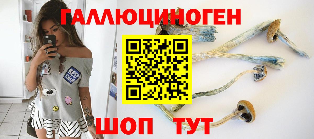 Галлюциногенные грибы Cubensis Боровичи